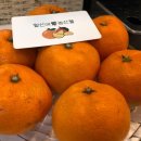 삼춘네 하우스 이미지