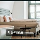 시온지물포