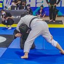 블랙벨트 체육관 이미지