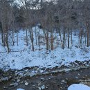 충남_청양여행 / 청양 가볼만한 곳 [청양 알프스마을/청양 눈썰매/2024 청양 얼음분수축제]