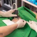 심이비인후과의원 이미지