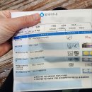 큐비씨 | 큐비지와 해외제품의 다른점 (퀘르세틴 제품만 3년째 먹는중)