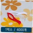 포크기타 (C) 이미지