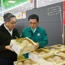 농수산월드