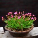 바람길목 이미지