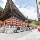 삼광사