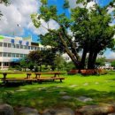 삼기 괴소 이미지