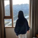 소노펠리체 델피노 | 강원도여행 겨울속초 리조트추천 소노펠리체 델피노 가격 숙박후기