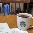 역사교육 | [교대원 합격후기] 고려대•서강대•경희대 역사교육 준비 &amp; 면접 후기