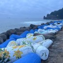 하나위 앞 이미지