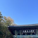 금강산밥m 이미지