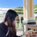 해변수산 이미지