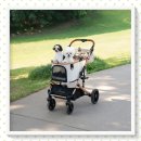 골드웨건 | 대형 반려견도 편안하게 태우는 프리미엄 웨건의 정석