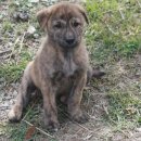 황호농장 이미지