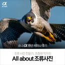 [소니 랜선 세미나 후기] All about 조류사진