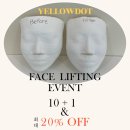 옐로도트/Yellowdot