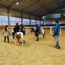 유성승마장 이미지