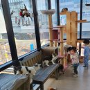 별이랑 놀자 이미지