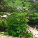 경호강야영장 이미지