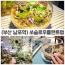소태역3번출구 뒤편 | 부산 아이랑 키즈 테라리움 체험, 남포동공방 쏘슬로우플랜트랩에서 식물힐링