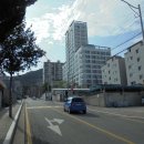 차성남로 이미지