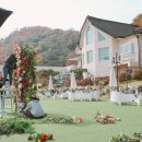 디아트누어/카페도밍고