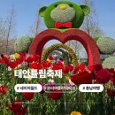꽃지후문주차장(번영회 옆) | [충남] 태안튤립축제 마검포 트랙터열차 실시간튤립 태안가볼만한곳
