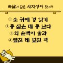 사자성어와 함께 한자 이미지