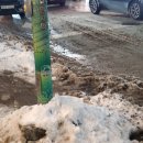 파리바게뜨 청주터미널점 이미지