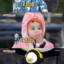 쇼몽플라워 이미지