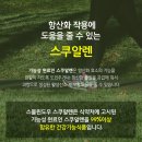 스몰윈도우스쿠알렌