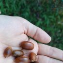 월영동200 이미지