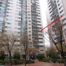 남양주도곡초등학교 이미지