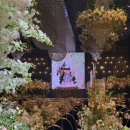 숲속의 컨벤션 | 더뉴컨벤션웨딩 더뉴홀 아이폰스냅 후기 | 아뜨랑트 스냅