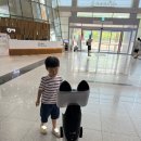 국립생물자원관 | 무료인데 이 정도라고? 아이와 다녀온 국립생물자원관 후기