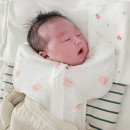 너와랑 | 신생아 커스텀 맞춤 육아 달력 '너와의 열두달' 초보 엄마 후기