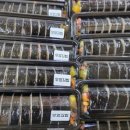 둥이네떡볶이 이미지