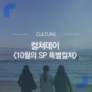 퍼니티브컴퍼니