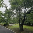 호수의 수호자_B 이미지