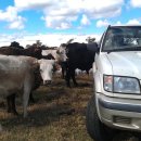 구석탱이 이미지