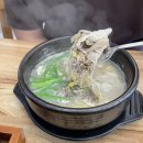 가성비 마곡점심맛집 제주담돌 마곡본점 고사리육개장 후기
