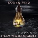 오보코리아 이미지
