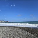 만수로 | 경주감포횟집 친구들과 즐긴 만수로회센터 한상차림 후기