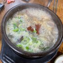 진천토종순대 앞 횡단보도(박문로타리) | 도화동 순대국 맛집 진천토종순대 택시기사님들의 단골집