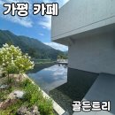 모카트리 | 가평 카페 골든트리 내돈내산 후기