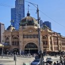 강릉푸드뱅크 | 국내선, 몽블랑커피, 피츠로이, 호저레인, 사우스뱅크, 아티스트마켓, 퀸빅토리아마켓, 멜버른 시티 뿌시기