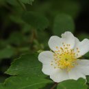 개구리당구장 이미지