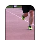 최강 명문체육관 이미지