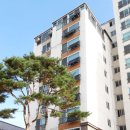 월드태양광발전소 아시아경제