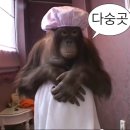 [몽골 신혼여행] 하닥투어 6박 7일 후기｜3일차 쳉헤르온천에서 행복한 하루